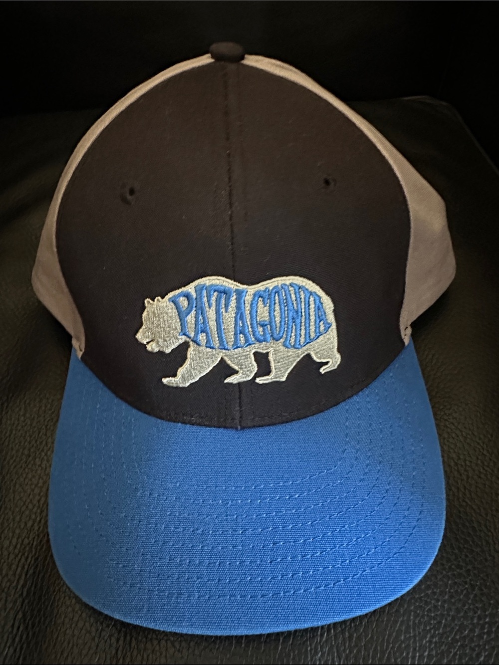 Patagonia Bear Heaven Roger That Hat